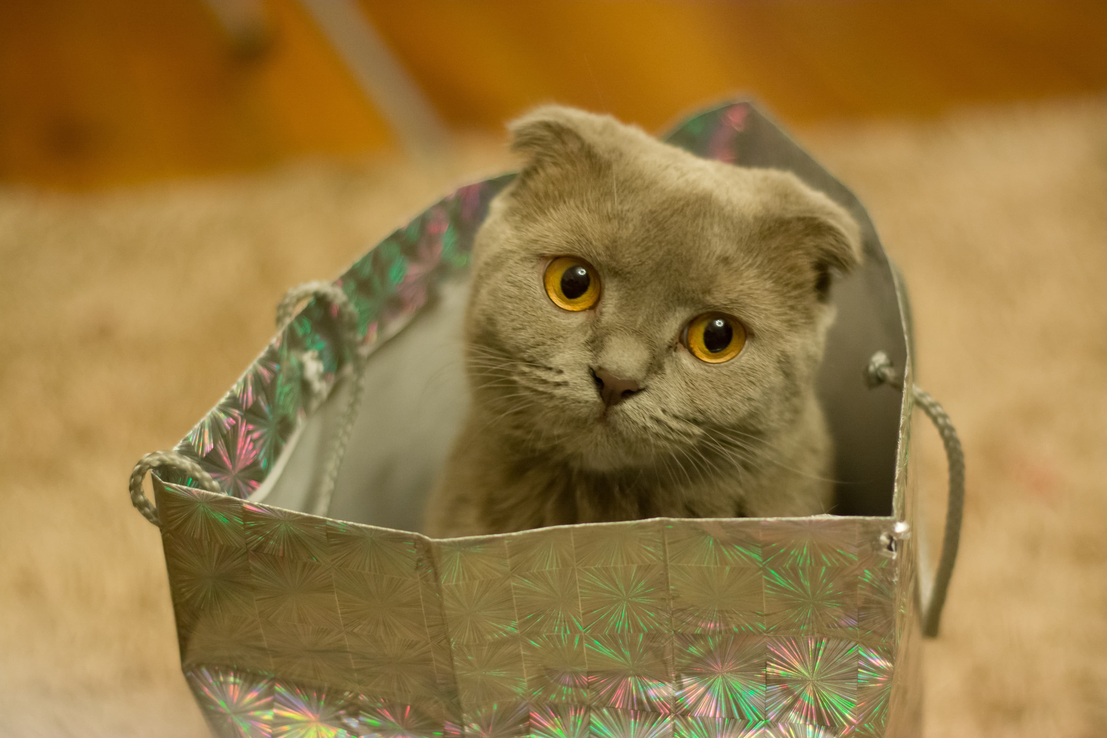 "Packaging"
